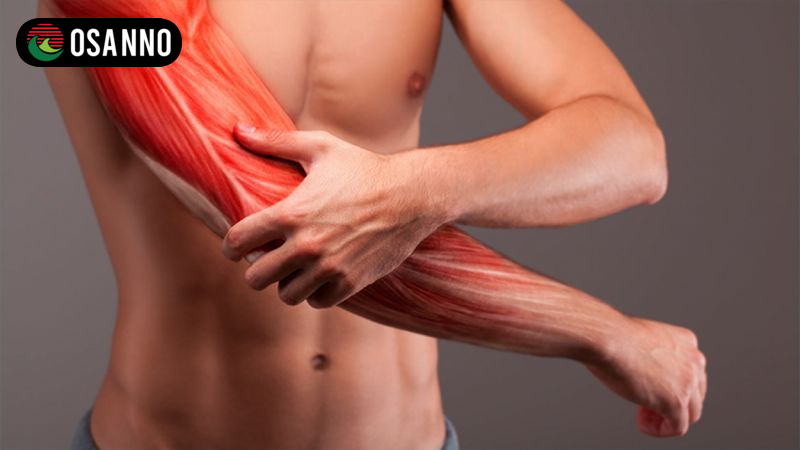 Công nghệ massage hiện đại của Osanno mô phỏng thao tác của bàn tay con người