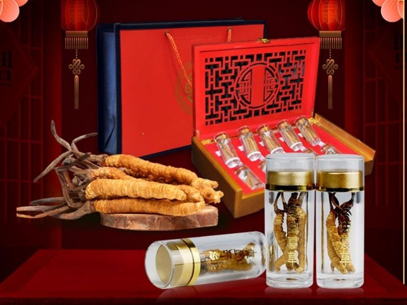 Bộ quà đông trùng hạ thảo cao cấp biếu Tết sếp